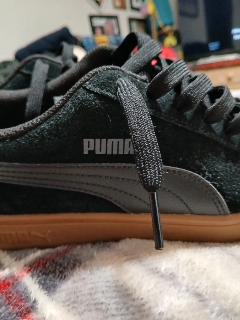 Puma 